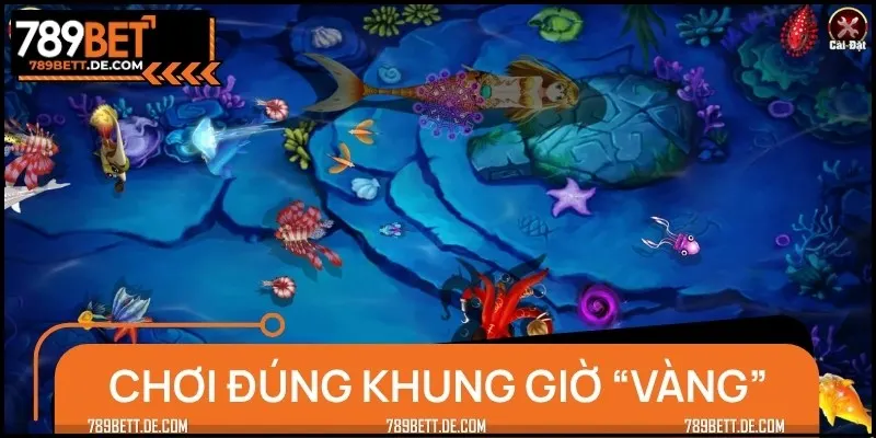 Bạn nên chơi ở khung giờ vàng để tăng tỷ lệ thắng