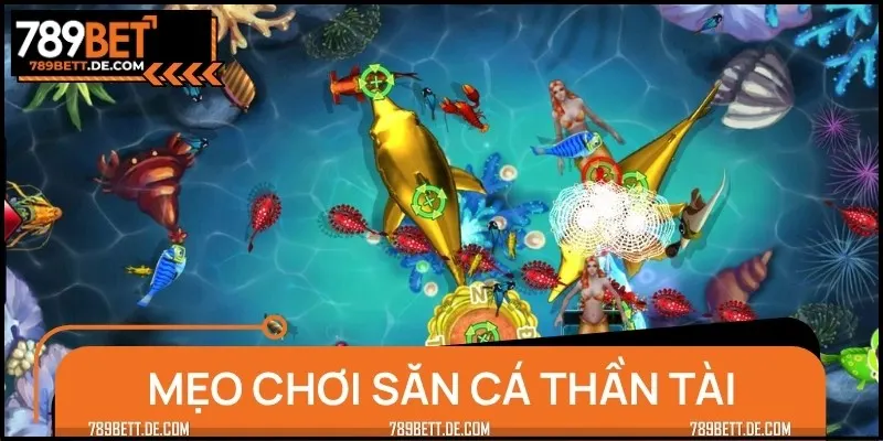 Bật mí mẹo săn cá đỉnh cao, rinh ngay Jackpot vàng