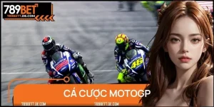 Cá Cược MotoGP – Bứt Phá Tốc Độ, Chạm Đỉnh Chiến Thắng