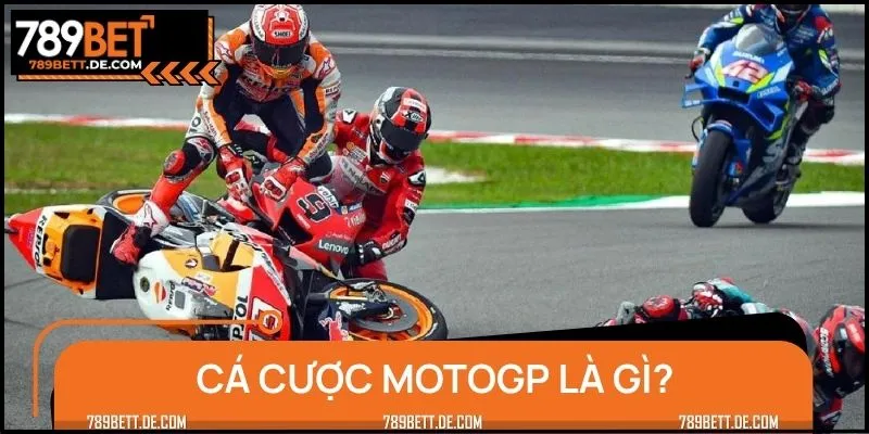 Cá cược MotoGP là sân chơi của dân đam mê tốc độ