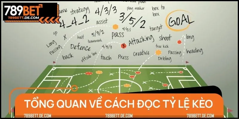 Cách đọc tỷ lệ kèo chính xác là nền tảng quan trọng của người chơi chuyên nghiệp