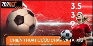 Chiến Thuật Cược Chấp Và Tài Xỉu – Vũ Khí Để Thắng Lớn