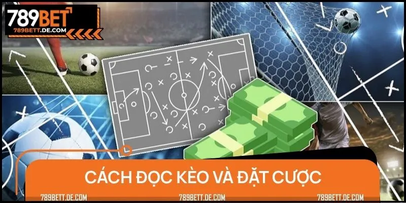 Hướng dẫn cách đọc kèo và đặt cược hợp lý