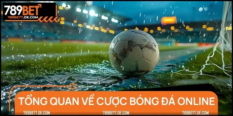 Cược bóng đá online là sân chơi đẳng cấp, minh bạch và tiện lợi