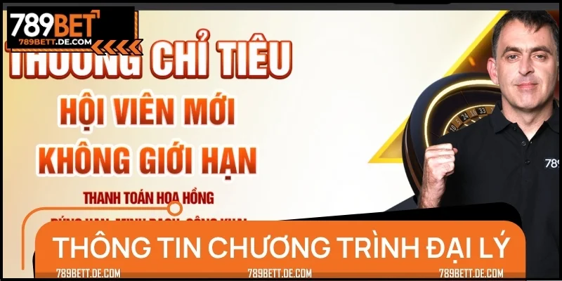 Một số thông tin nền tảng về mô hình đại lý