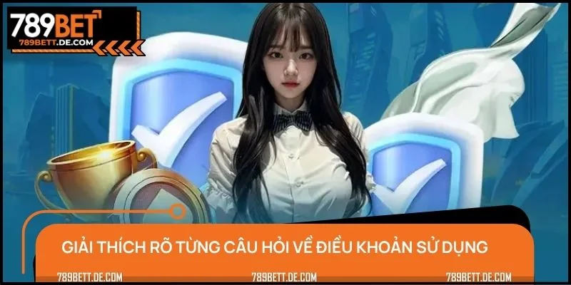 Giải thích rõ từng câu hỏi về điều khoản sử dụng