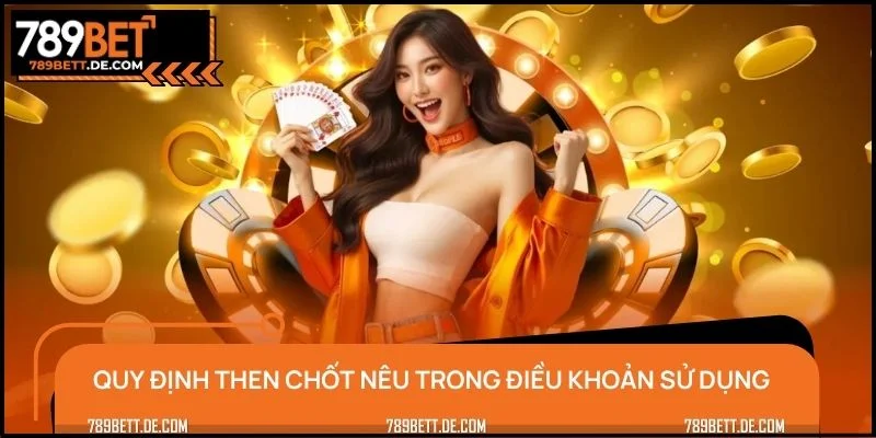 Danh mục quy định then chốt nêu trong điều khoản sử dụng