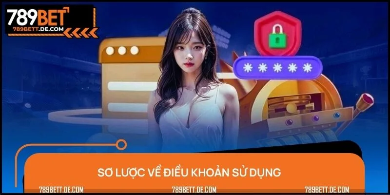 Sơ lược về điều khoản sử dụng
