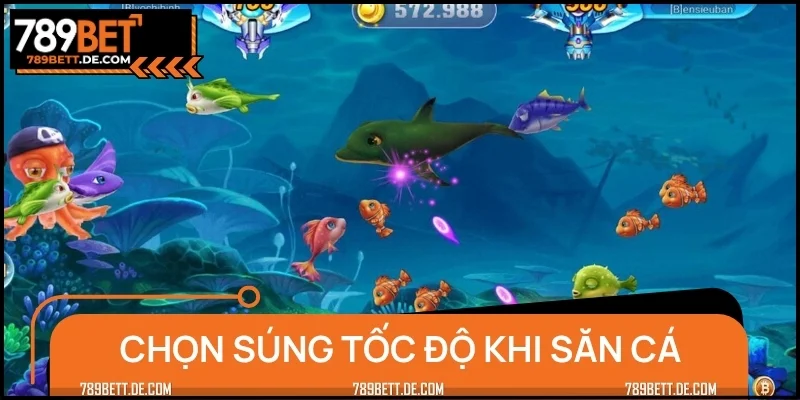 Chọn súng tốc độ bắn nhanh khi nhiều cá