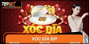 Xóc Đĩa Bịp - Sự Thật Và Cách Phòng Tránh Cho Người Chơi Mới