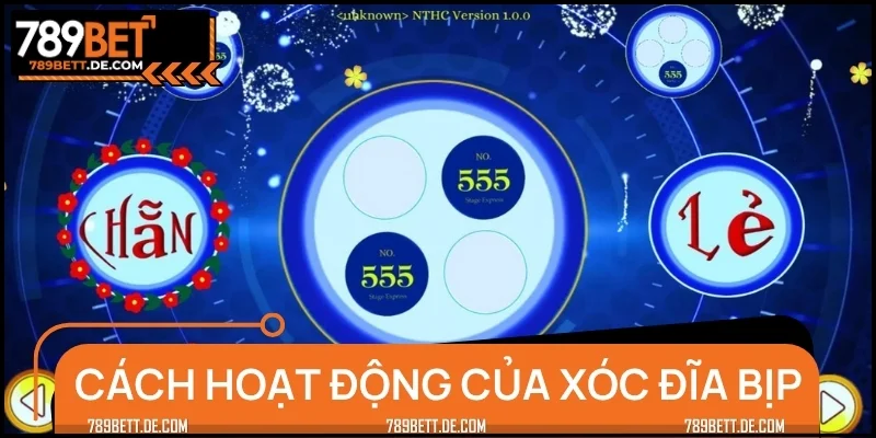 Tìm hiểu nhanh về nguyên lý hoạt động của xóc đĩa bịp